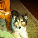 James Dellinger - @golfing728 - Twitter