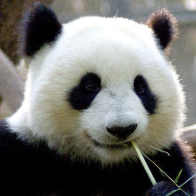 Aimimi16's profile picture. 