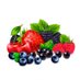 Frutas rojas (@robinisabel) Twitter profile photo