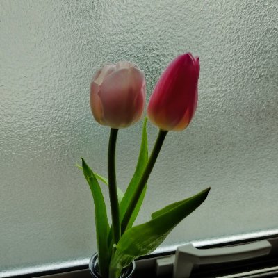mi1890323116433's profile picture. 元NWO🎺

〜推し〜
なにわ男子（りゅちぇ）
LE SSERAFIM（チェウォン）
どっちも箱