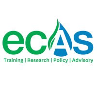 ECAS Institute(@ECASIAfrica) 's Twitter Profile Photo