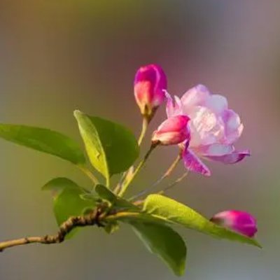 babysqul's profile picture. 