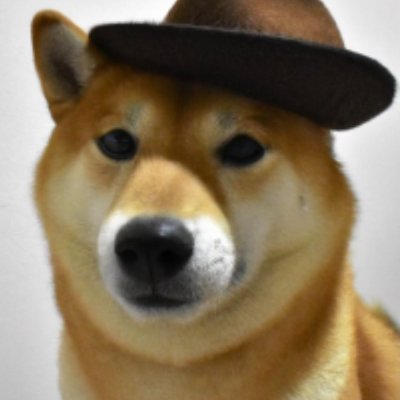hunterdave0's profile picture. This is Dave