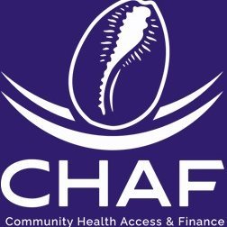 CHAF is a local organisation staffed by a team with over 60 years of global leadership experience in designing, developing, delivering, and managing digital and