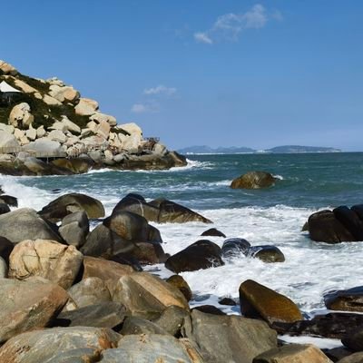 smartbin01's profile picture. 