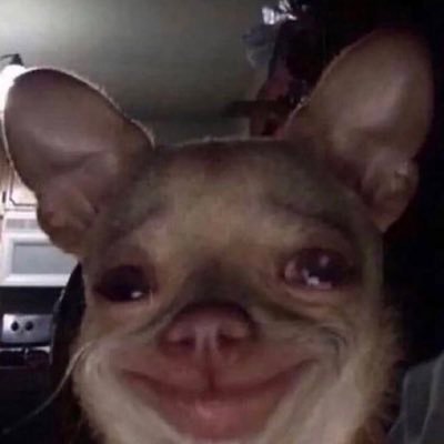 RodriguezB42805's profile picture. 