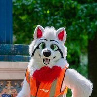 Sky Cyberpaw (@sky_cyberpaw) 's Twitter Profile