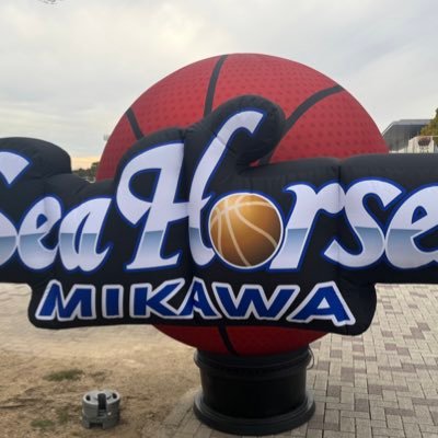 バスケが好き　シーホース三河箱推し
