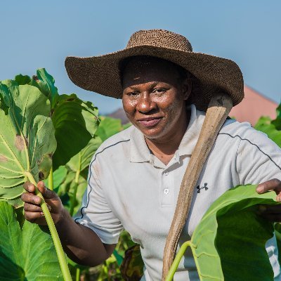 The ActionAid SUPIA project is working to scale up public investment in agriculture in Nigeria, in both budget and priority. Older posts at @actionaid_SUPIA