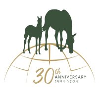 WBFSH (@wbfsh1) 's Twitter Profile