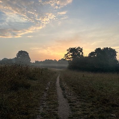 V11JJJ's profile picture. 