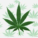 Brett Lee - @BrettLee15 - Twitter