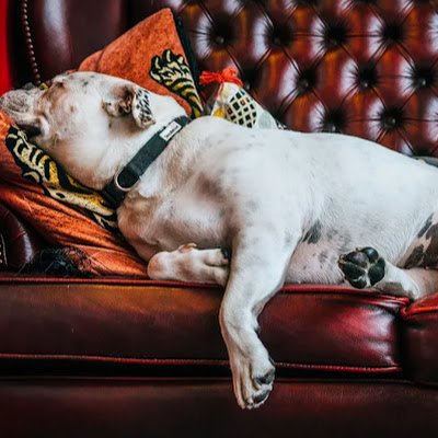 LuluB669070's profile picture. 