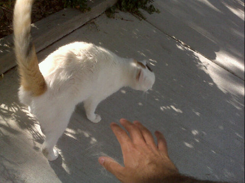 Lithobolos's profile picture. I like learning....things.....

Most notably politics, MMA, and philosophy ^_^