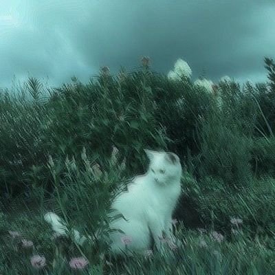 wino_choleryka's profile picture. 