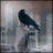 sihaqys's profile image