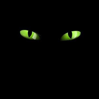 lexstrays's profile picture. GUE COWOK,   C   O   W   O   K    ____   
misuh misuh aja sini di dm