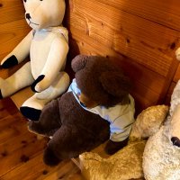 わらびもち (@ariiiu_m) 's Twitter Profile