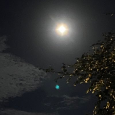 ptrsvrardwn's profile picture. 