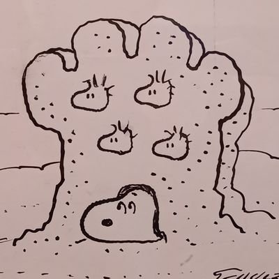 Y.さんのプロフィール画像