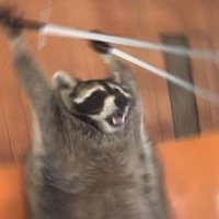r0dAckT (@r0dackt) 's Twitter Profile