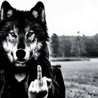 Will Street (@willstreet_fx) 's Twitter Profile Photo Will Street (@willstreet_fx) 's Twitter Profile Photo