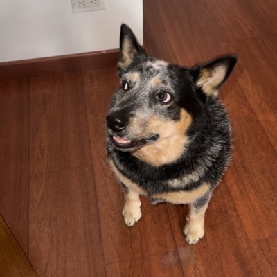 Juan_RestrePret's profile picture. 