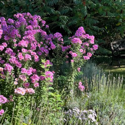 CagnardNicole's profile picture. Le doute….pas de certitudes mais quelques convictions. - « Sous la constitution la plus libre, un peuple ignorant est toujours esclave » ! Nicolas de Condorcet