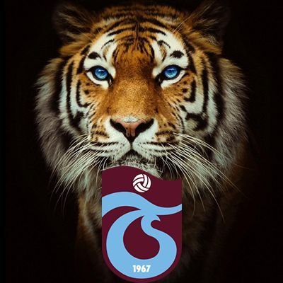 Tek aşk TRABZONSPOR ❤💙 🇹🇷 Ne mutlu Türküm Diyene 🇹🇷