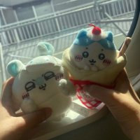 えむ (@sfs2mk) 's Twitter Profile Photo