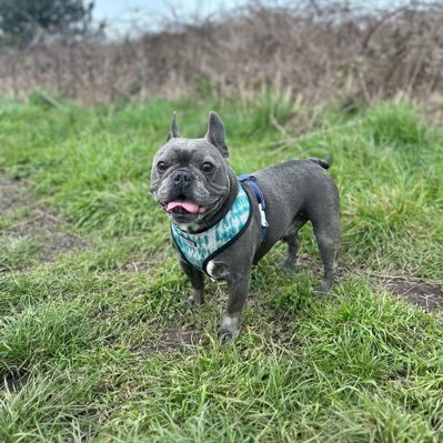 Higgsy84's profile picture. Crumpetsssss