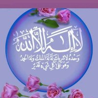 تامر الشال (@elshaltamer) 's Twitter Profile