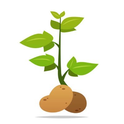 WetPotato23's profile picture. Lazy and chill guy