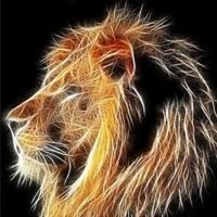 Евгений Магда (@mag99275) 's Twitter Profile