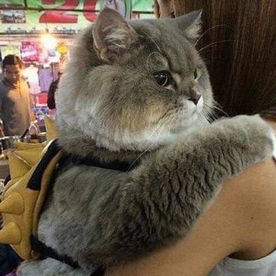 jojojoestar08's profile picture. yareyare