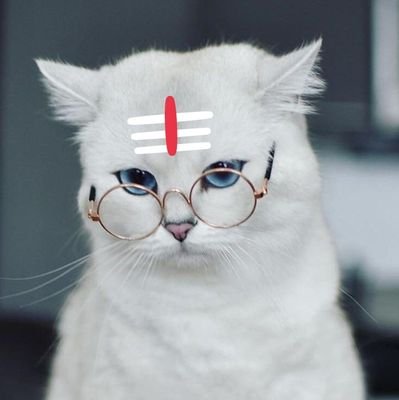 23 M, 🚩🙏|| 🔱शिव=🦚कृष्ण=🏵️काली ||🙏🚩

         Gentlemeow ,  Feline Supremacist 💪😺 , parody lyricist ✍️ ,  Philharmonic🎵 , my pronoun- meow , *SATIRE*