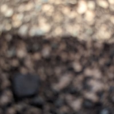 rana121611's profile picture. 