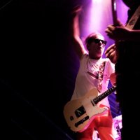 SirCoki (@cokiburro) 's Twitter Profile Photo SirCoki (@cokiburro) 's Twitter Profile Photo