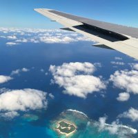 ari✈︎ (@ari_n36) 's Twitter Profile