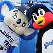 つばドアラ🐧🐨🏟️ (@swallows_tubaq) 's Twitter Profile