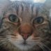Pilar (@pilargarca15257) Twitter profile photo Pilar (@pilargarca15257) Twitter profile photo