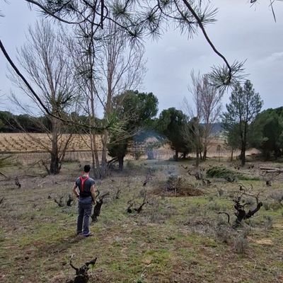 NOS UNIMOS EN AQUEL MOMENTO, LO QUE NO TENGO VERGÜENZA EN DECIR, LO QUE TENGO ORGULLO EN CONFESAR.  

                        De la Ribera del Duero.