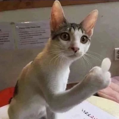 Miaou ?