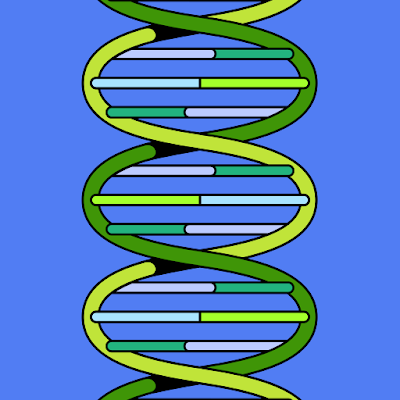 NickHon33749's profile picture. 