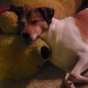 David Folk - @Littlefolkie - Twitter