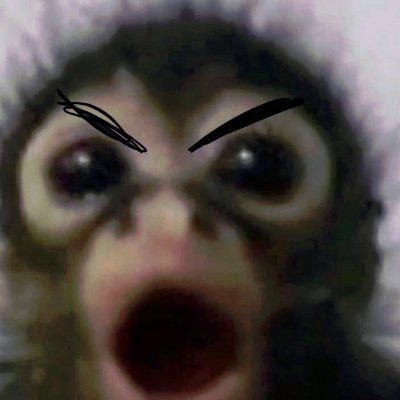 centralizedaria's profile picture. Live with intention and purpose. #MINA #CryptoMining