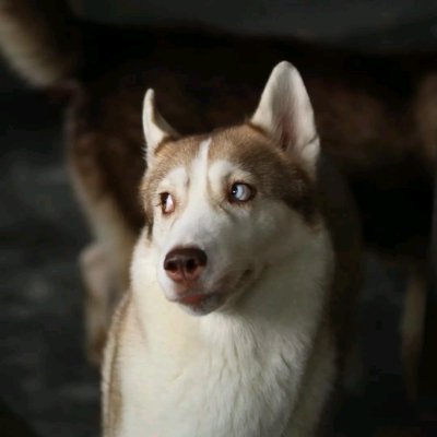 FirewGetachew4's profile picture. Thanks God