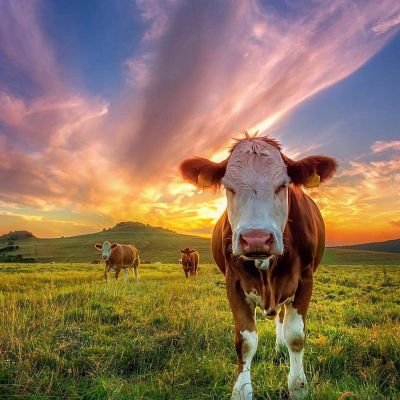 maddiebear420's profile picture. Be happy