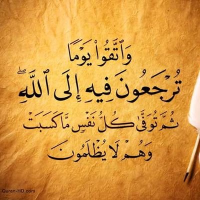 reallif2024's profile picture. Learn about ISLAM..
       whats app.      00905360177505