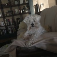 JRA (@dawgjra) 's Twitter Profile Photo JRA (@dawgjra) 's Twitter Profile Photo